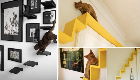Escadas para gatos nas paredes 007