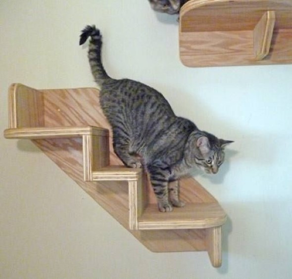 Escadas para gatos nas paredes 012