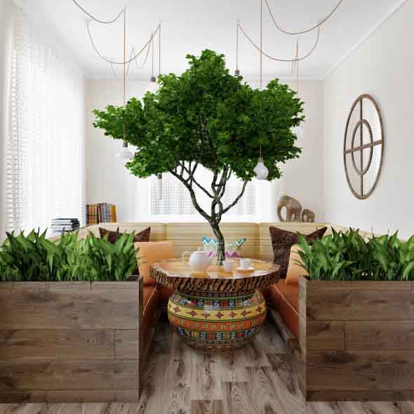 Como ter um jardim na sala de estar 011