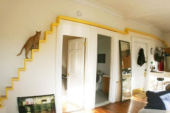 Escadas para gatos nas paredes 001