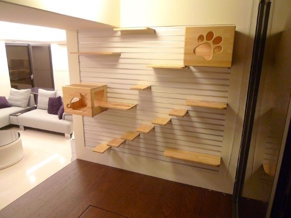 Escadas para gatos nas paredes 005