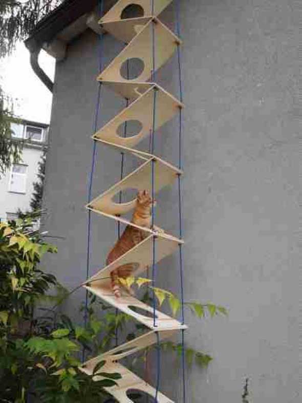 Escadas para gatos nas paredes 011