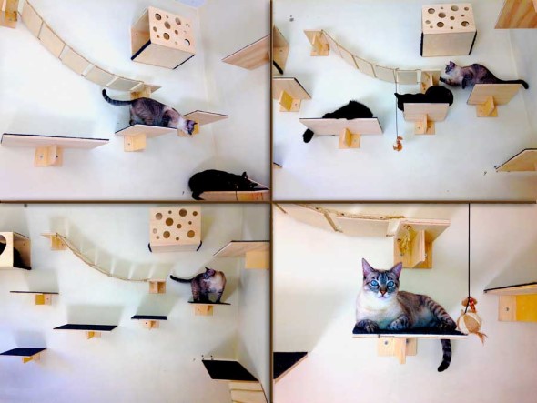 Escadas para gatos nas paredes 016