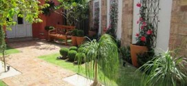 Plantas ornamentais para jardim externo