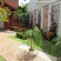 Plantas ornamentais para jardim externo