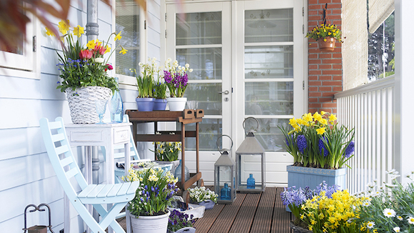 Verschiedene Frühlingsblumen in Töpfen auf einem Holzbalkon